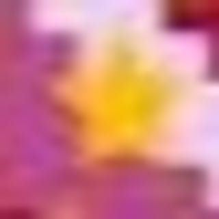 Animation (DONT HACK & Reject)