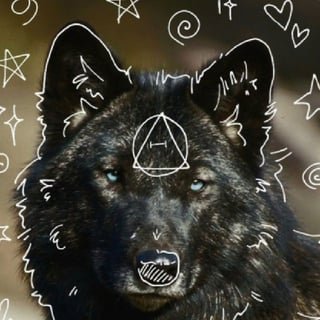 𓃡black wolf theiran𓃬