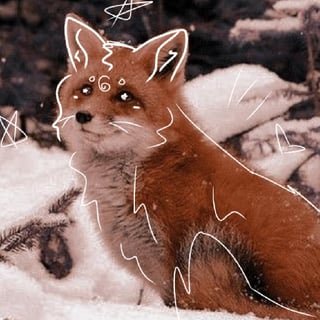 •{☆}•FloofyFaux•{☆}•