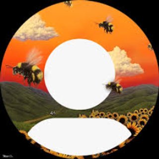 tttylerthecreatorbitch