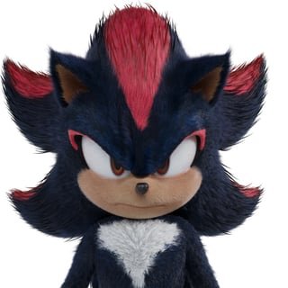 Cameron the hedgehog