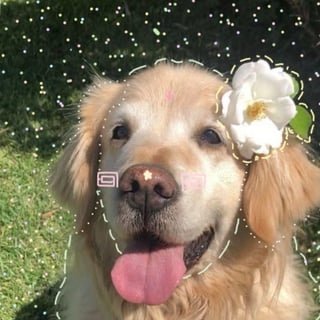 ✵༺Carley༻✵ (quit)